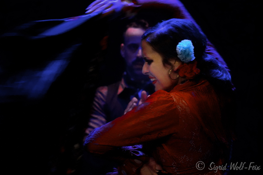 028 Flamenco.jpg