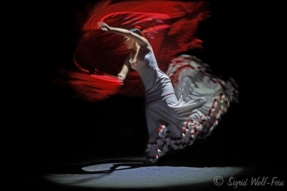026 Flamenco.jpg