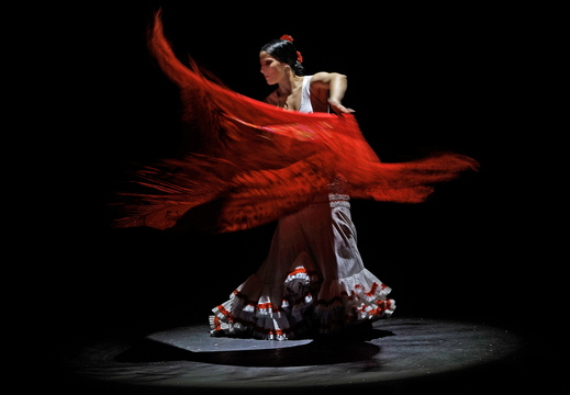 027 Flamenco