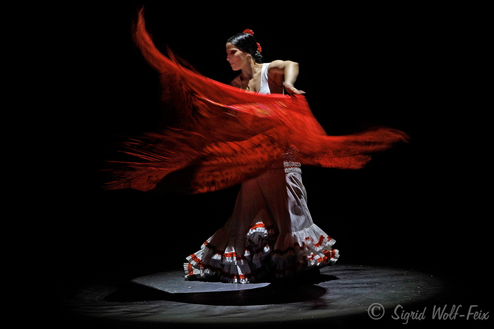 027 Flamenco.jpg