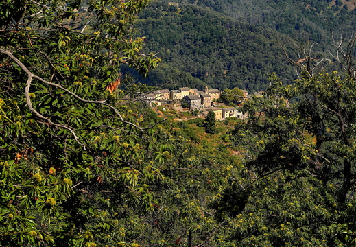 009 Castagnicca