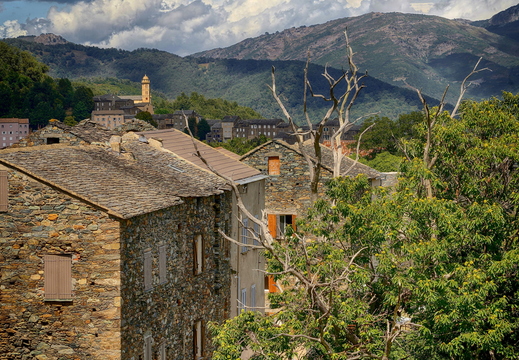 010 Castagnicca