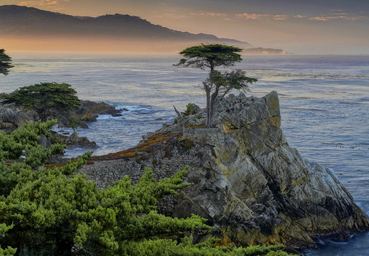011 Lone Pine, Monterey