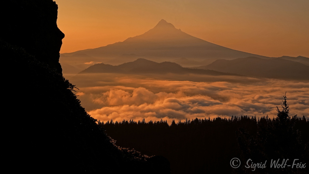 058 Blick vom Larch Mountain, Oregon.jpg