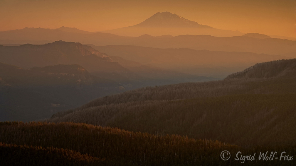 059 Blick vom Larch Mountain, Oregon.jpg
