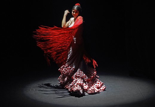 023 Flamenco