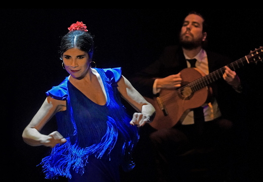 031 Flamenco