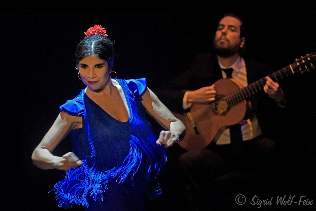 031 Flamenco.jpg