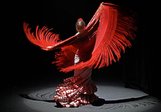 028 Flamenco