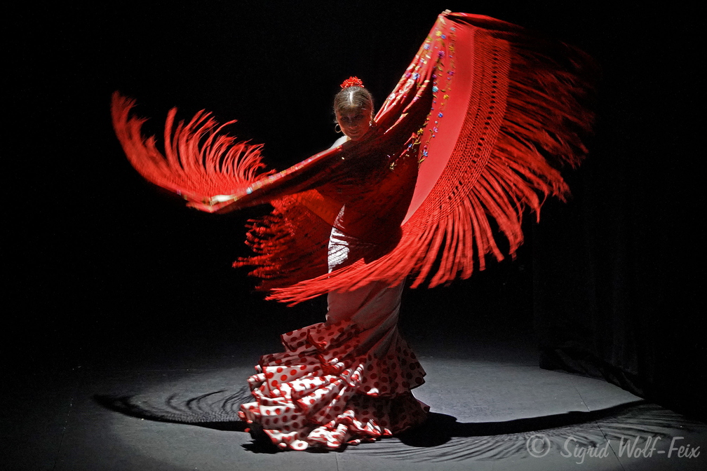 028 Flamenco.jpg