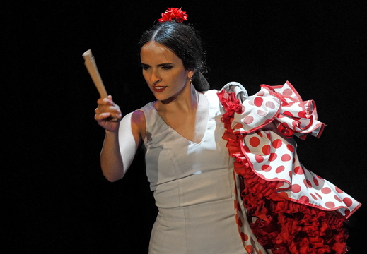 030 Flamenco