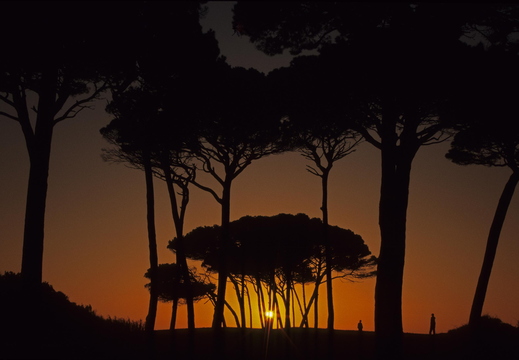 007 Strand von Baratti