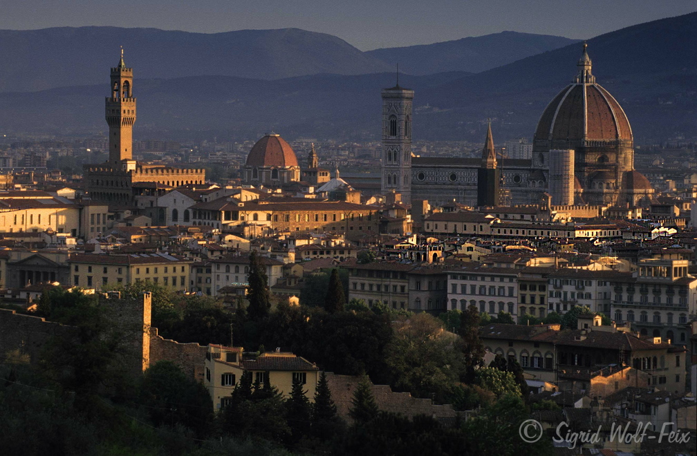 013 Blick auf Florenz.jpg