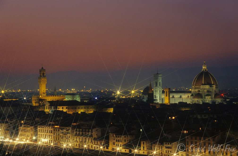 014 Blick auf Florenz.jpg