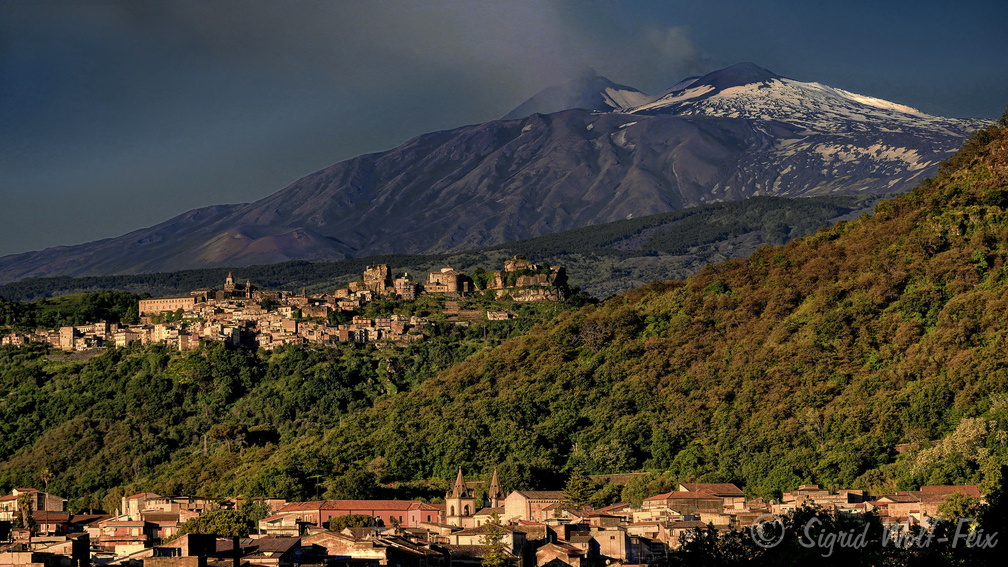 035 Castiglione.jpg