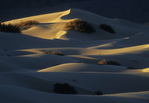 005 Death Valley Sanddünen bei Stovepipe Wells