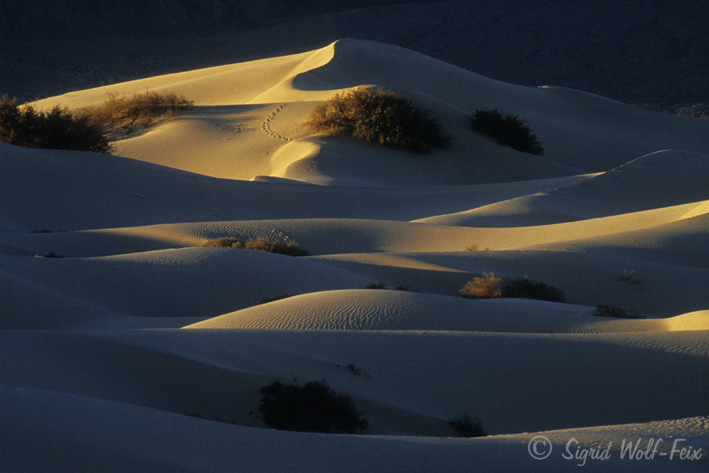 005 Death Valley Sanddünen bei Stovepipe Wells.jpg