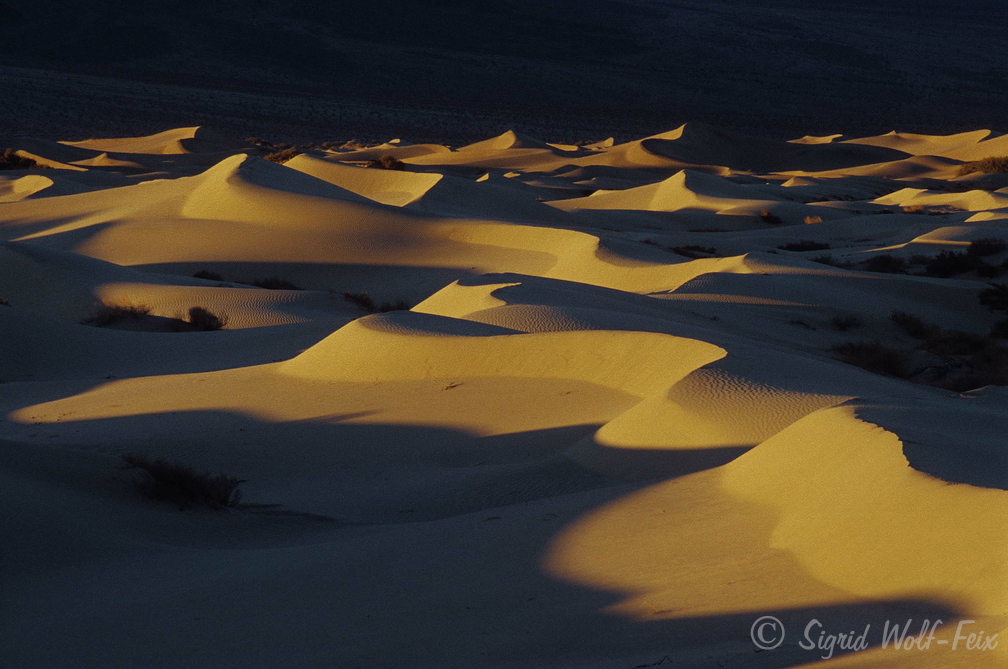 006 Death Valley Sanddünen bei Stovepipe Wells.jpg