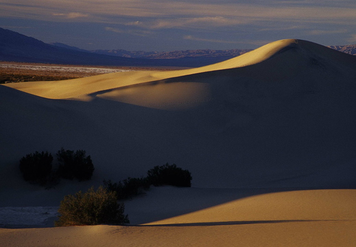 007 Death Valley Sanddünen bei Stovepipe Wells