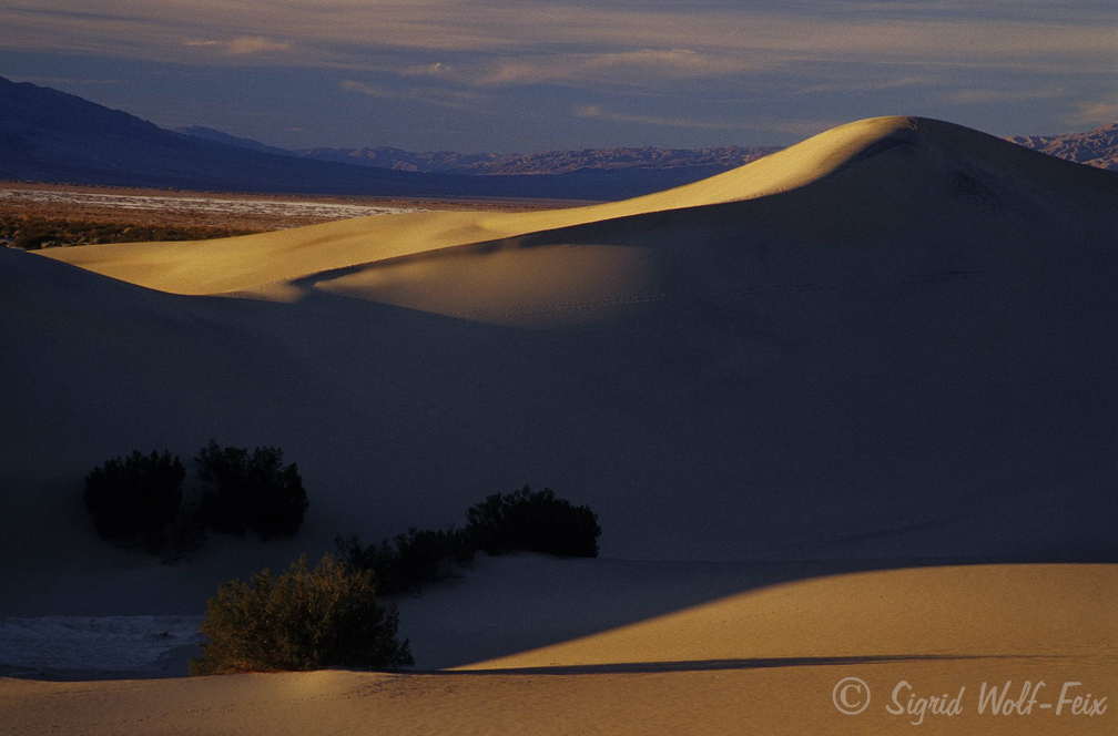 007 Death Valley Sanddünen bei Stovepipe Wells.jpg