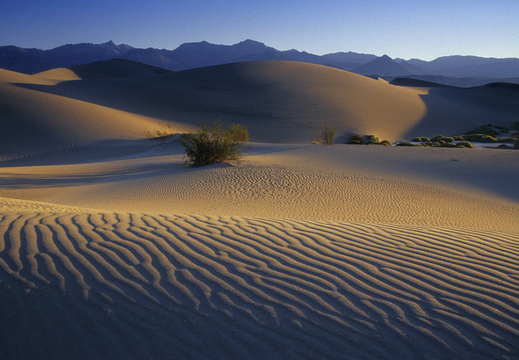 009 Death Valley Sanddünen bei Stovepipe Wells