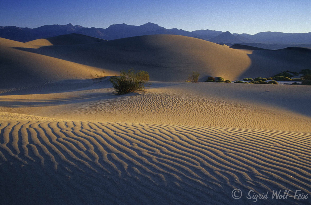 009 Death Valley Sanddünen bei Stovepipe Wells.jpg
