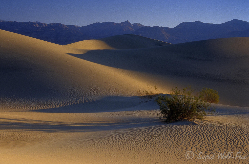 010 Death Valley Sanddünen bei Stovepipe Wells.jpg