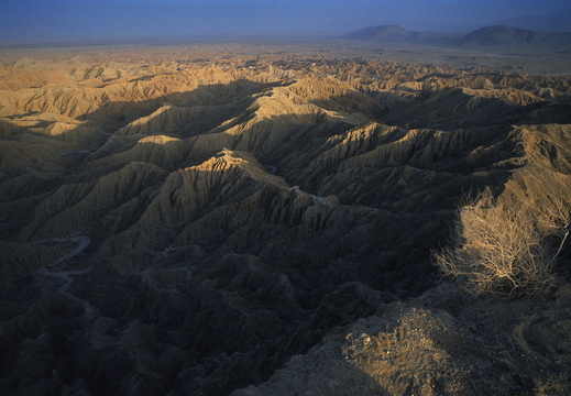 019 Anza Borrego Desert