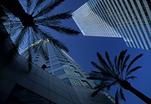 003 Los Angeles