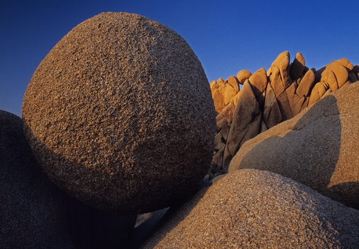 006 Joshua Tree N.P