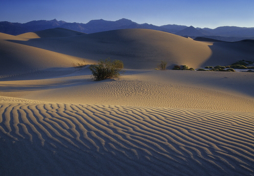 011 Death Valley