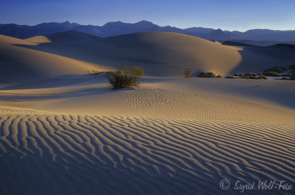 011 Death Valley.jpg