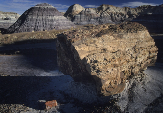 018 Petrified Forest