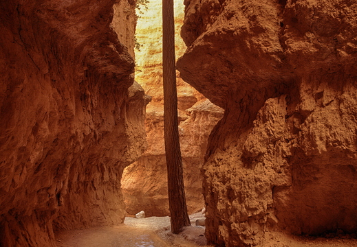070 Bryce Canyon