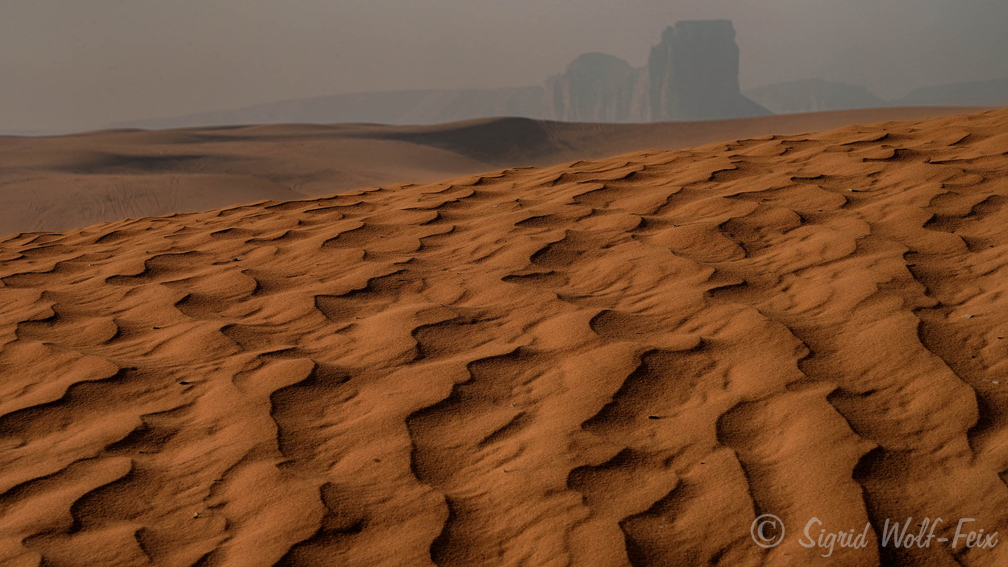 041 Red Sand Dunes.jpg