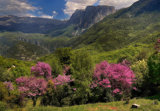 009 Vikos-Aoos Nationalpark