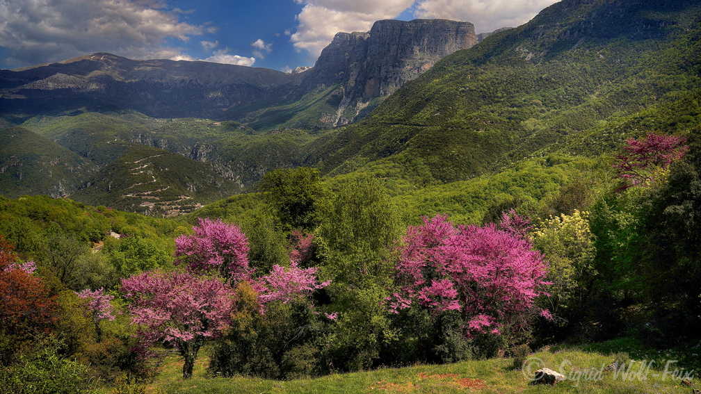 009 Vikos-Aoos Nationalpark.jpg