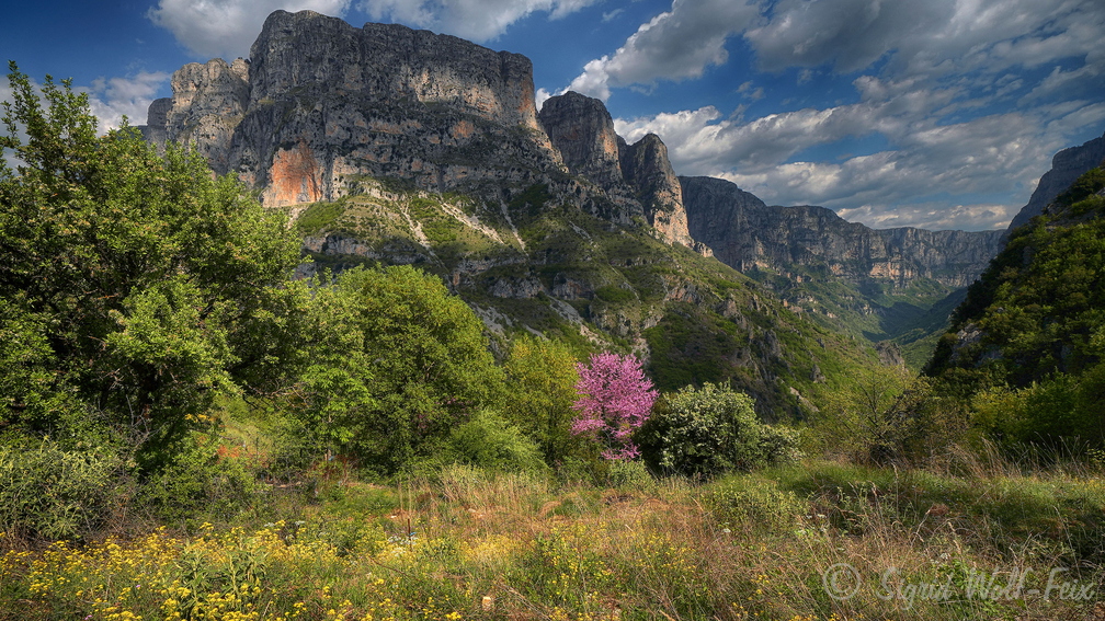 011 Vikos-Aoos Nationalpark.jpg