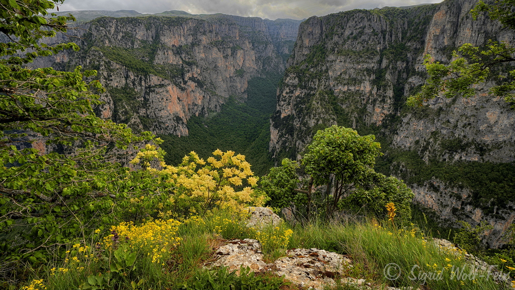 013 Vikos-Aoos Nationalpark.jpg
