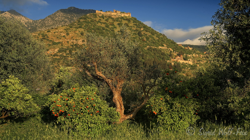 035 Peloponnes, Mistras.jpg