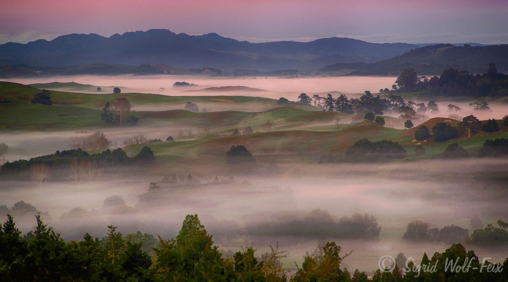 Bay of Islands.jpg