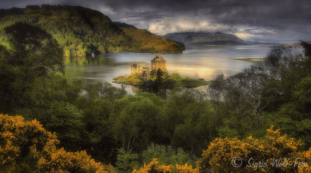 Eileen Donan Castle.jpg