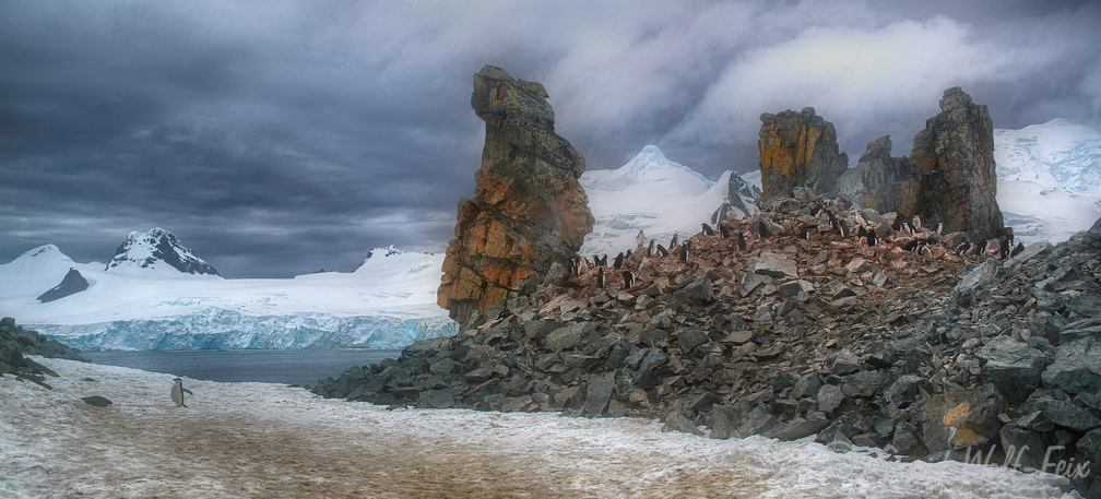 Half Moon Island.jpg