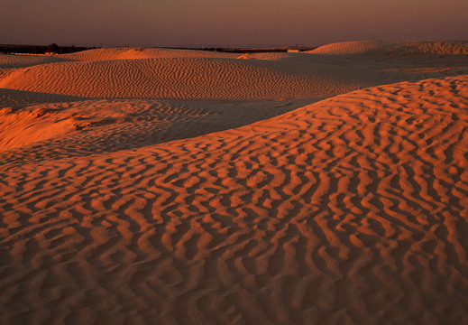001 Sahara