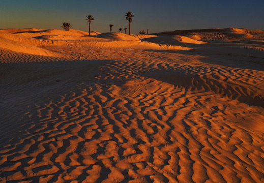 002 Sahara