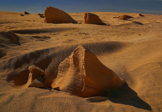004 Sahara