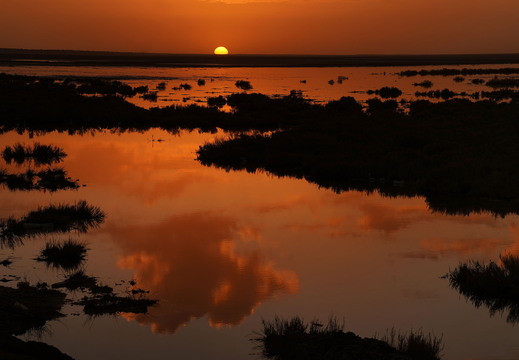 005 Chott El Jerid